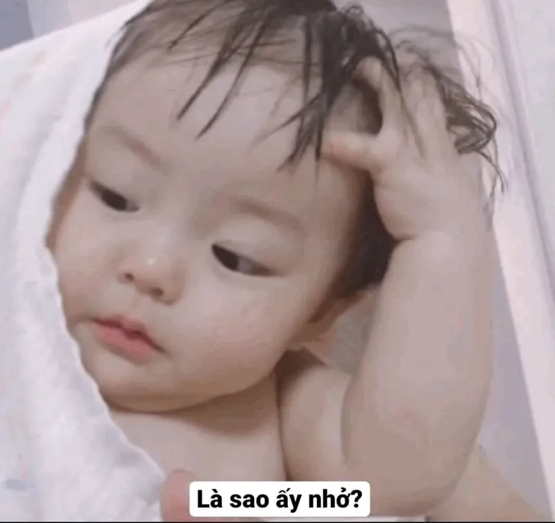 Thay đổi mood mỗi ngày với nền meme hài hước chất chơi