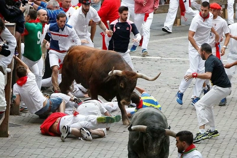 Tìm về lễ hội chạy đua với bò tót vui nhộn