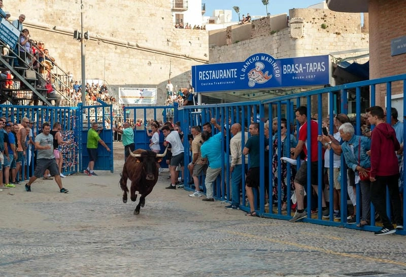 Gợi ý những bức lễ hội chạy đua với bò tót ấn tượng