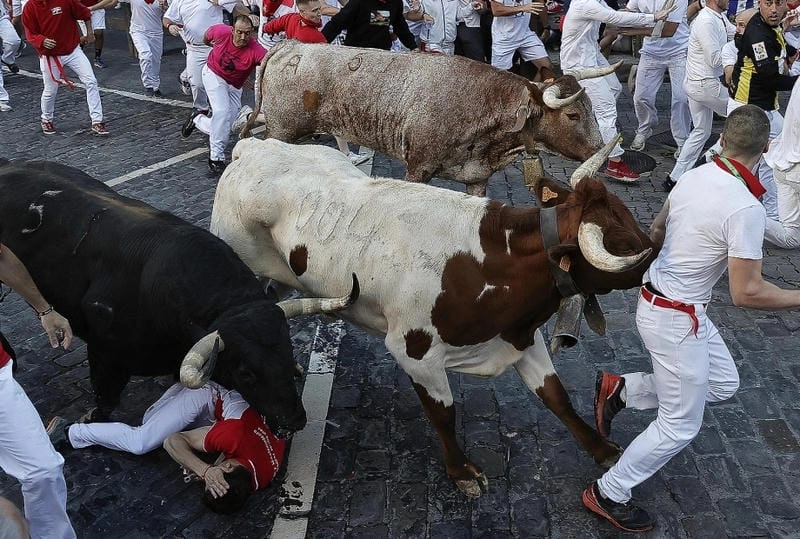 Sưu tầm những bức lễ hội chạy đua với bò tót cuốn hút