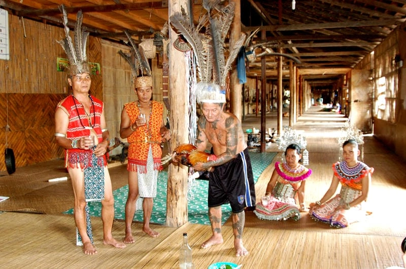 Tìm về Lễ hội Gawai Dayak hoành tráng