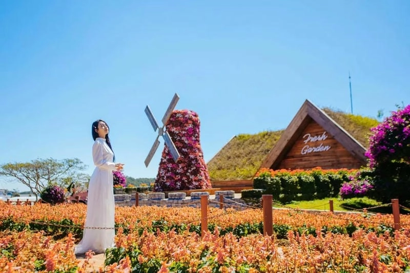 Tải ngay lễ hội hoa Đà Lạt huyền ảo