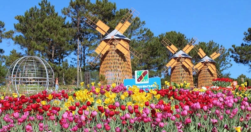 Gợi ý những bức lễ hội hoa Đà Lạt ấn tượng