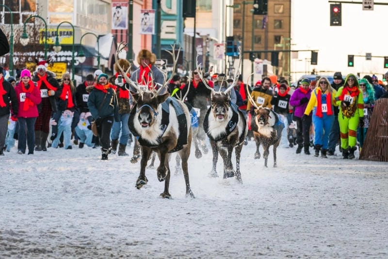 Lạc lối trong lễ hội mùa đông đặc sắc