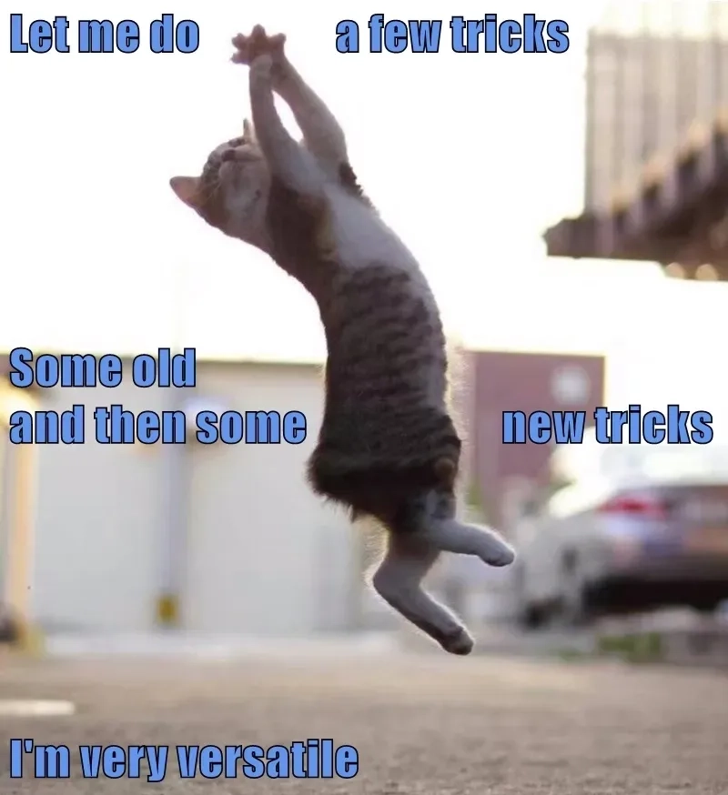 Huyền thoại Internet gọi tên eric andre gate meme