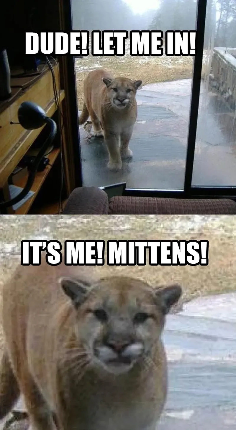 Dùng let me in meme template để sáng tạo meme chất