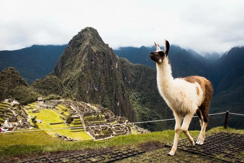 Gợi ý những bức Machu Picchu tuyệt mỹ