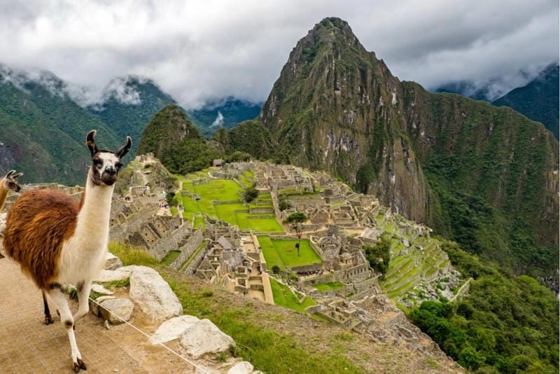 Tìm về Machu Picchu thanh bình