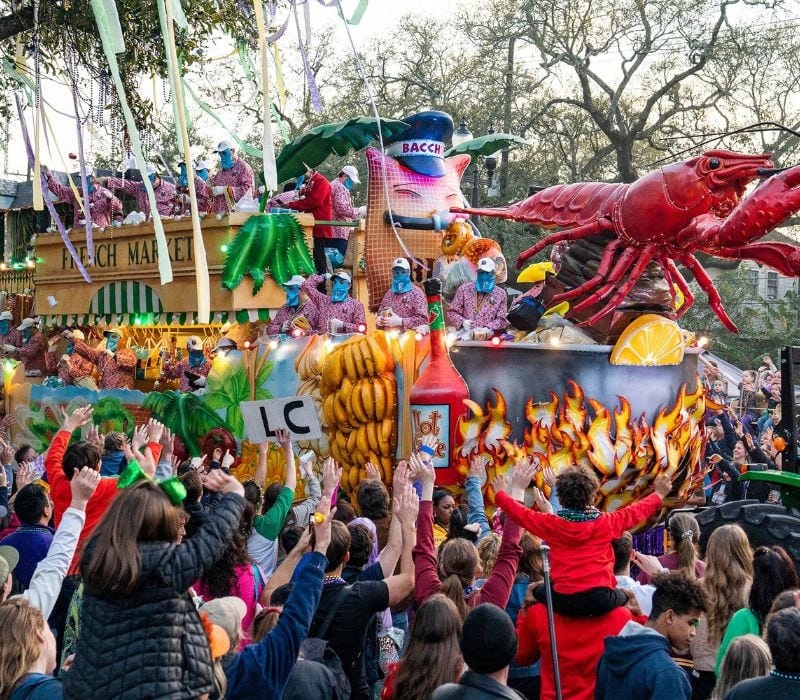 Gợi ý những bức Mardi Gras ấn tượng