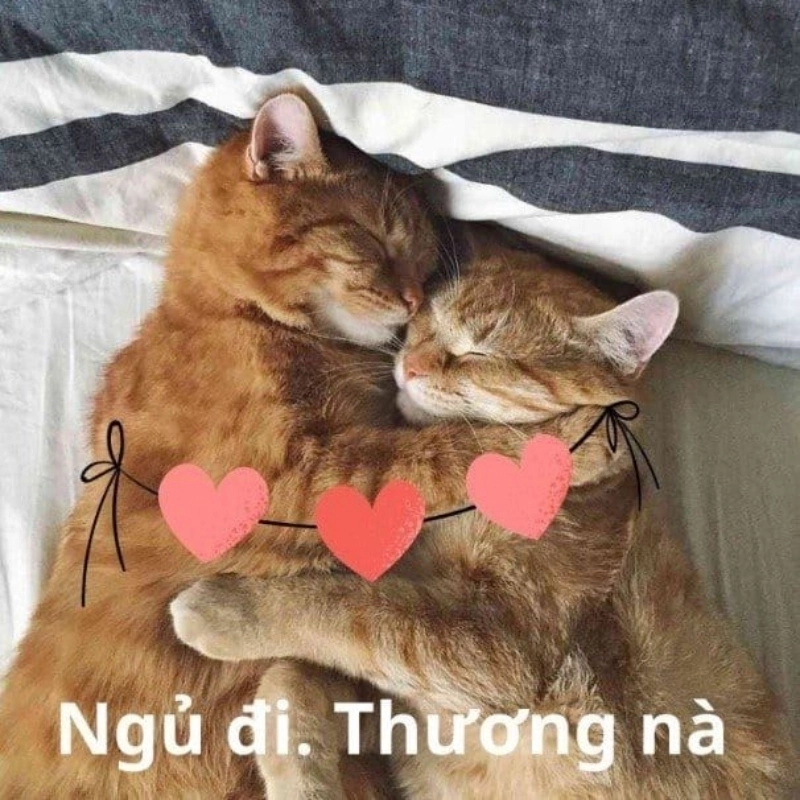 Khi bạn bè buồn hãy chia sẻ meme an ủi người khác