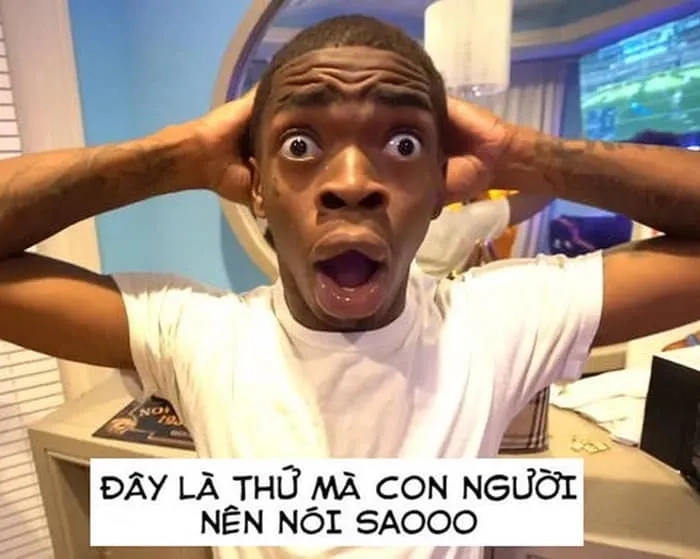 Mẹ tôi nhìn bảng điểm y hệt meme ngạc nhiên anh da đen
