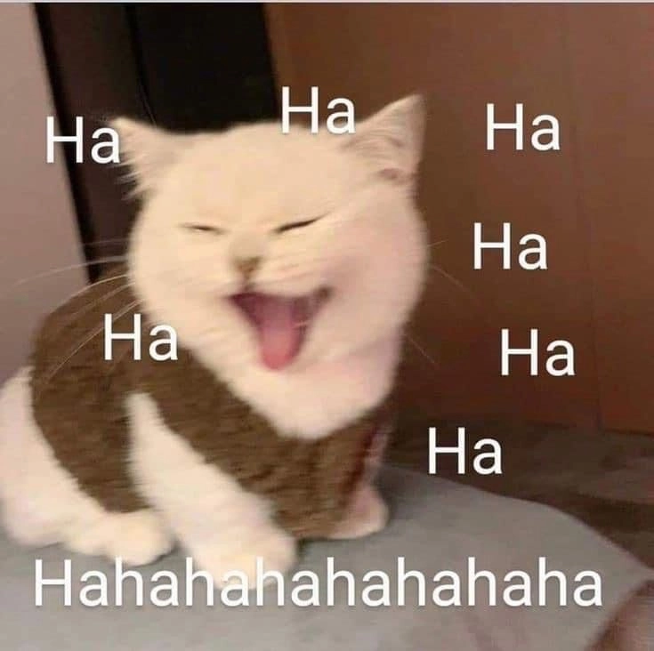 Chia sẻ niềm vui bằng meme hài cute dễ thương nhất
