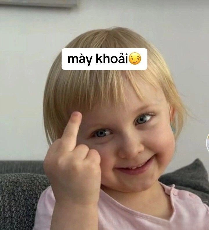 Kho tàng hình ảnh meme hài hước cực kỳ đa dạng