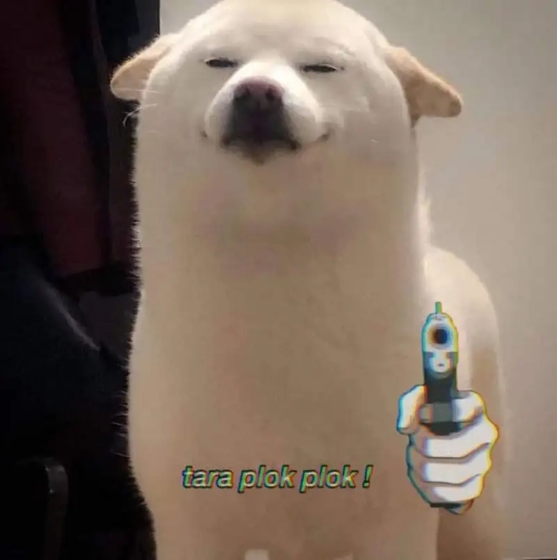 Không thể nhịn cười với chó meme cầm súng cực gắt cực bá đạo