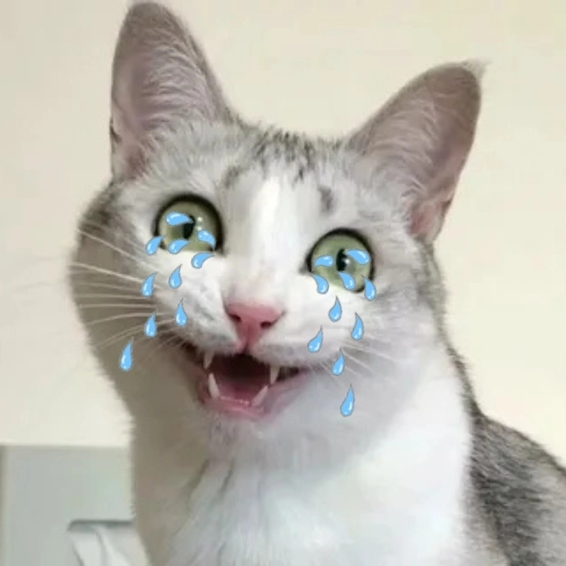 Cười ra nước mắt với cry cat meme cực hot hôm nay