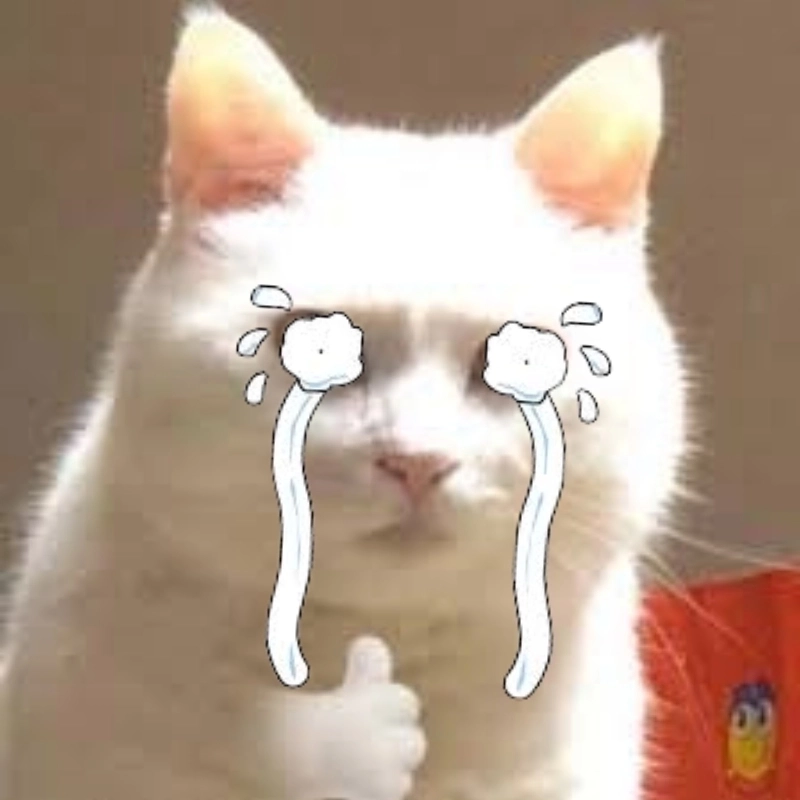Đắm chìm trong thế giới cat meme cry dễ thương