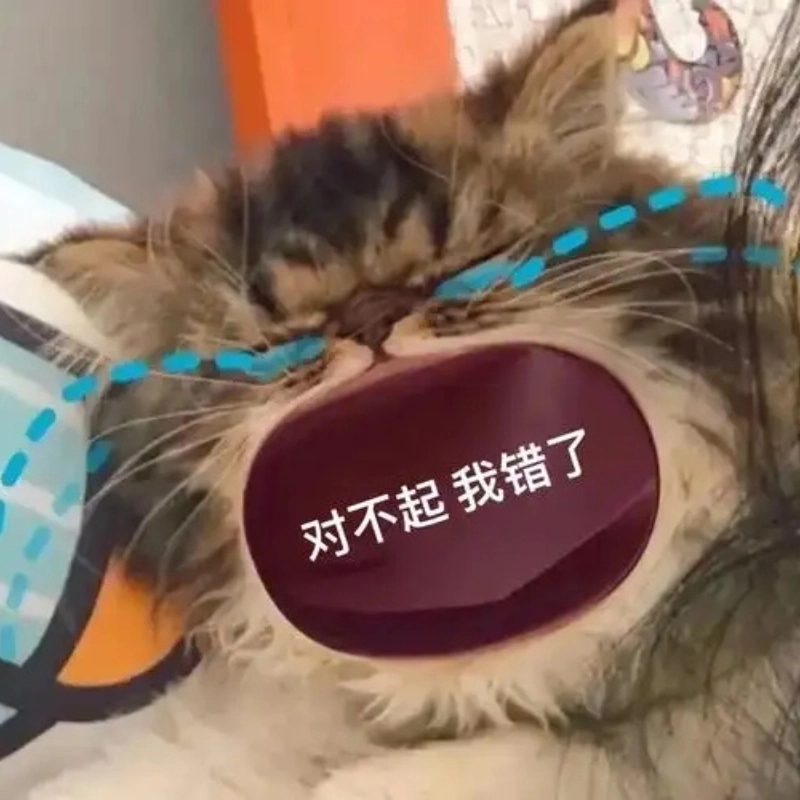 Cập nhật ngay xu hướng cat meme crying mới nhất
