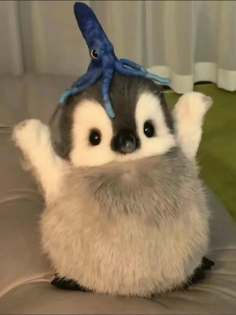 Sưu tập kho tàng meme cánh cụt cute khiến ai cũng bật cười