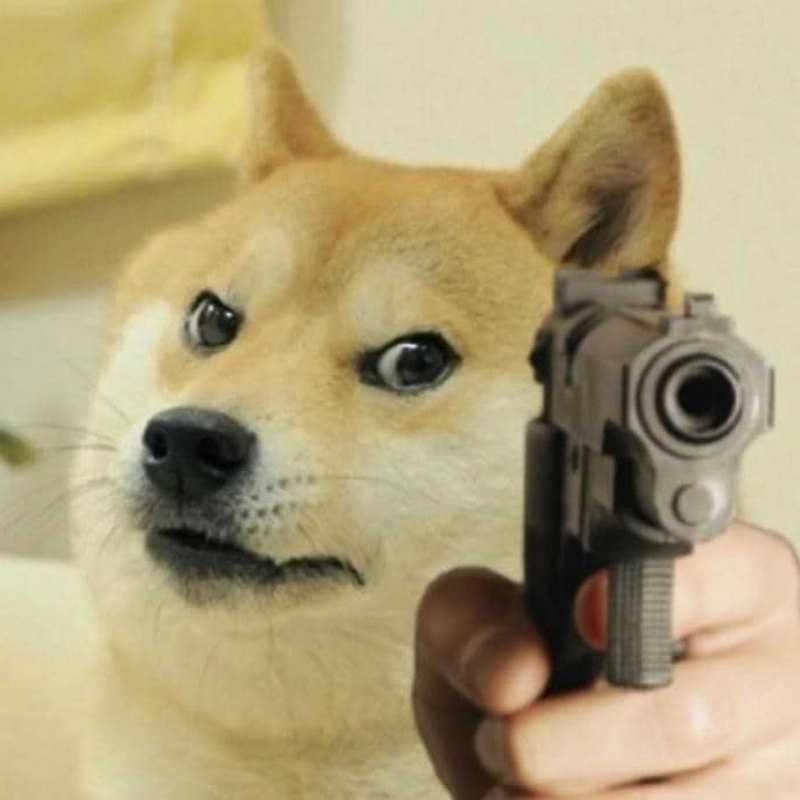 Thử xem độ “ngầu” của meme chó dữ đỉnh đến mức nào