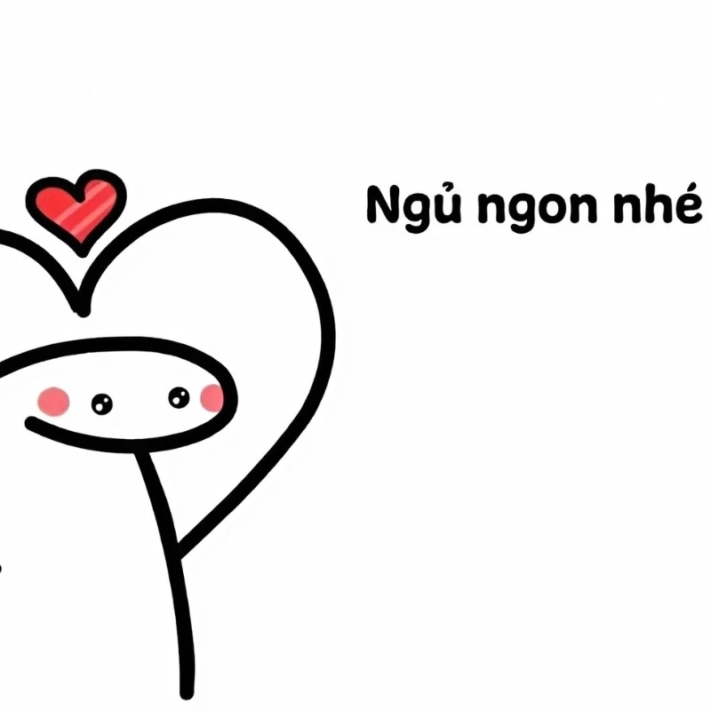 Thư giãn trước khi ngủ với meme ngủ ngon dễ thương nhất