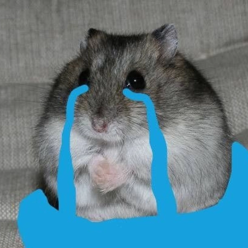 Cười không ngớt với loạt meme con chuột bá đạo nhất