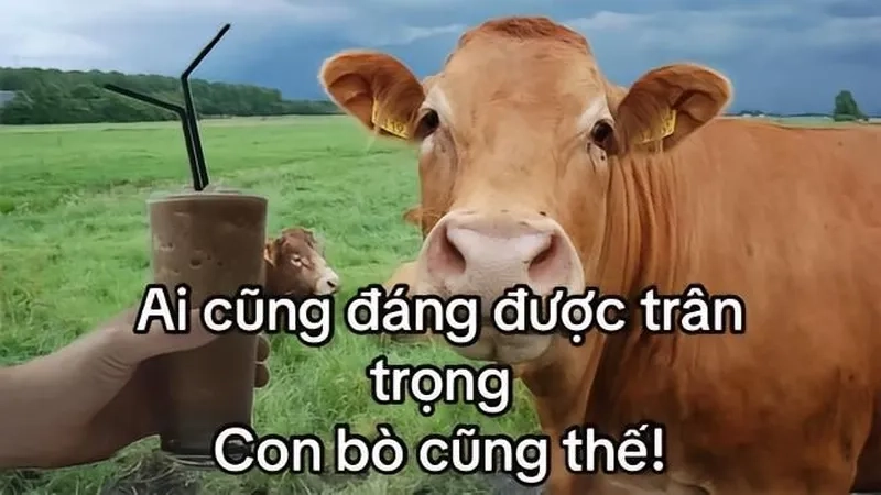 Bật cười với con bò meme siêu lầy khiến ai cũng phì cười