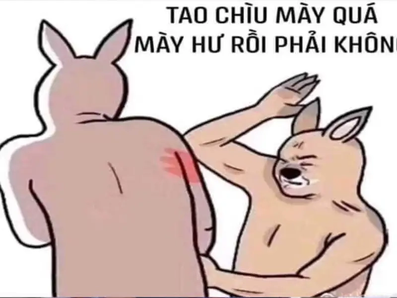 Thư viện meme đánh nhau cực gắt cho dân chơi hệ vui nhộn