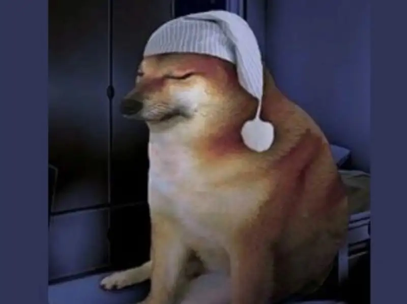 Bộ sưu tập ảnh doge meme dễ thương nhất mạng