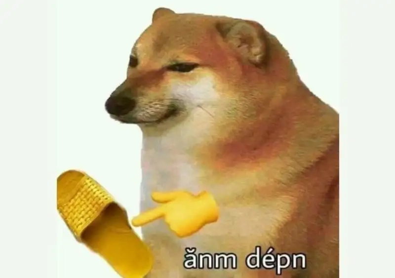 Giới trẻ săn lùng meme doge việt nam siêu hài