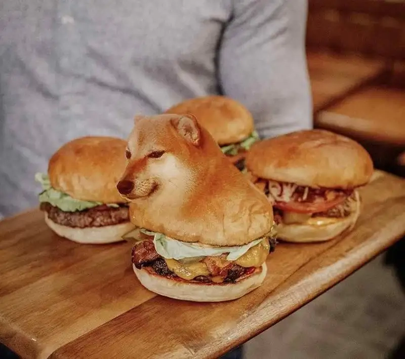 Chia sẻ ngay doge shiba inu dog meme hot trend