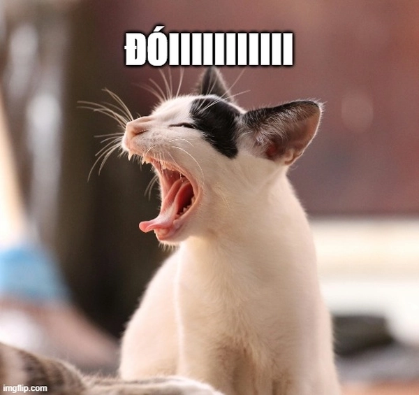 Khám phá bộ sưu tập ảnh há miệng ra meme cực độc