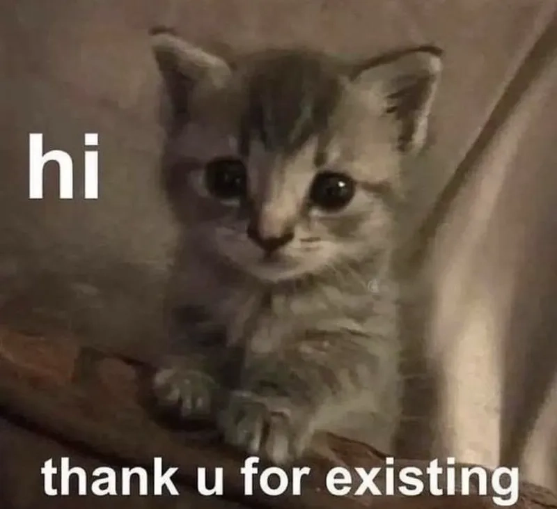 Tổng hợp meme hi cat đáng yêu nhất mạng xã hội