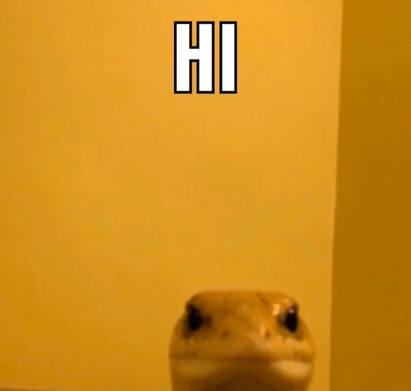 Gây bão với bộ meme hi cute cực chất