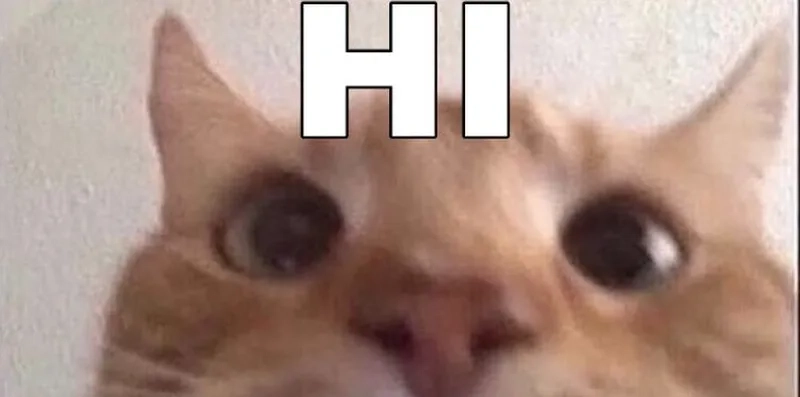 Đừng bỏ lỡ meme hi cute khiến tim bạn tan chảy