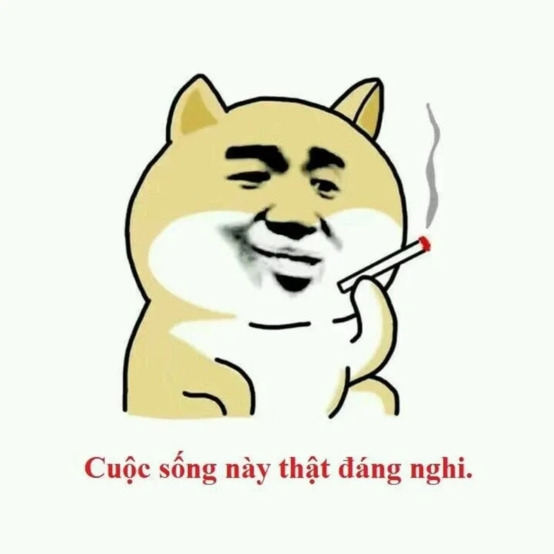 Phản ứng hoàn hảo cho mọi tin nhắn vô lý meme khinh bỉ