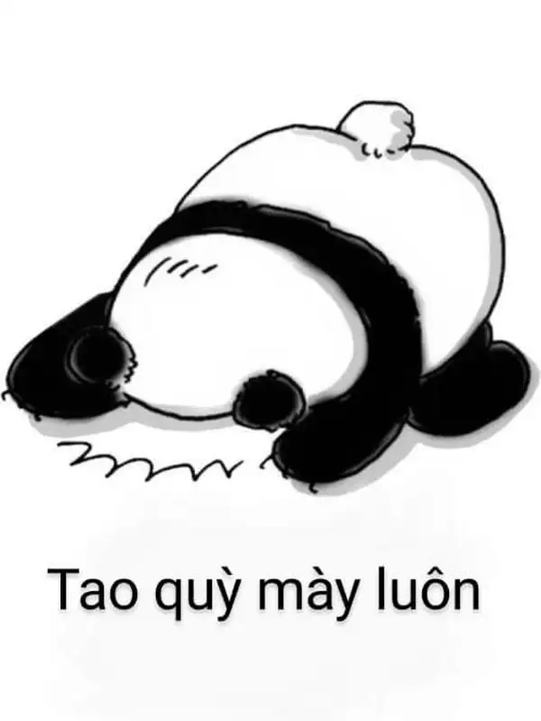 Xem xong tình huống dở khóc dở cười là meme quỳ lạy