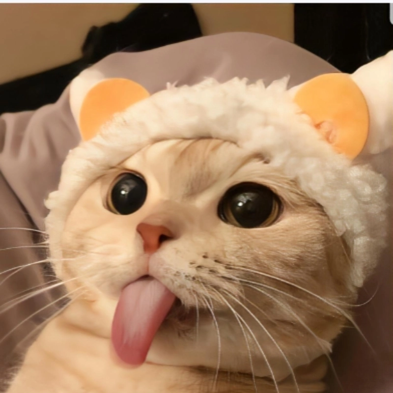 Chỉ muốn chia sẻ hình con mèo cute meme