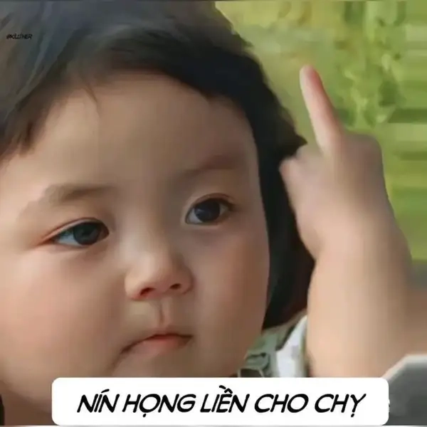 Tải ngay loạt nín meme gif siêu dễ thương và hài hước