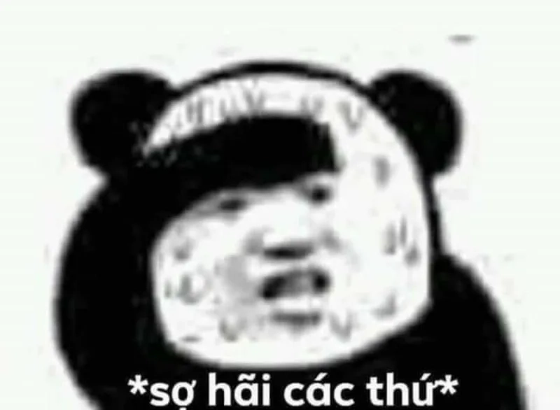 Chia sẻ ngay meme sợ hãi các thứ hài hước cực mạnh