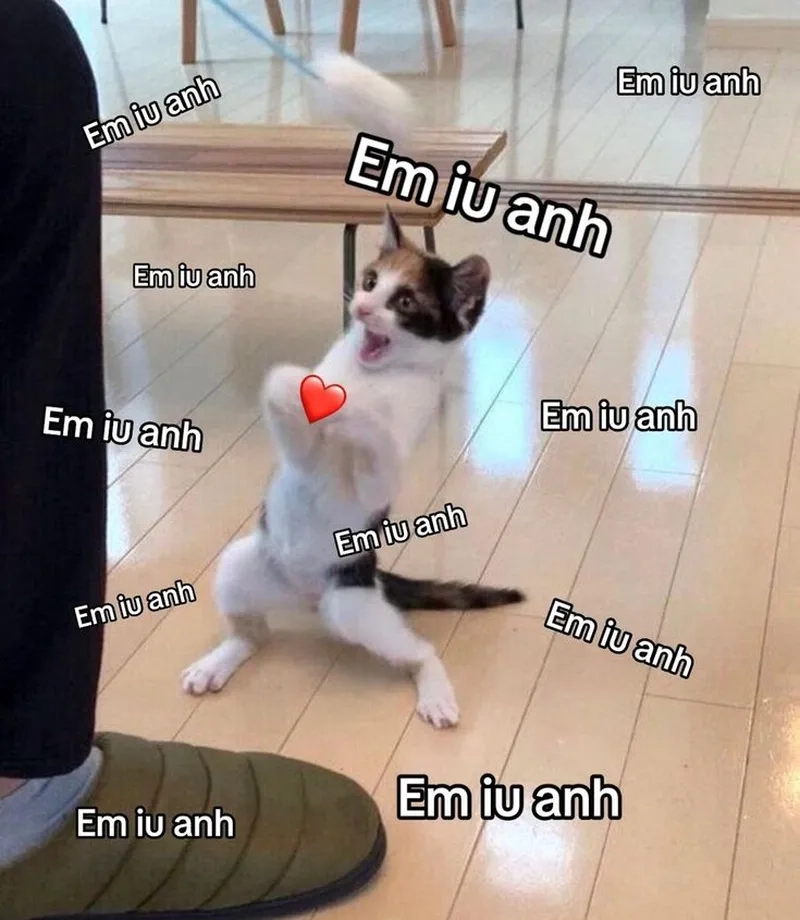 Cực đáng yêu với ảnh meme thả thính đang viral