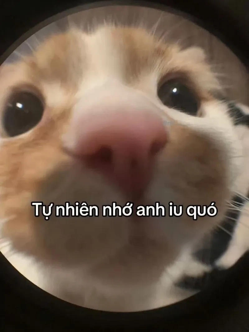 Gây cười cực mạnh nhờ loạt thả thính meme cực chất