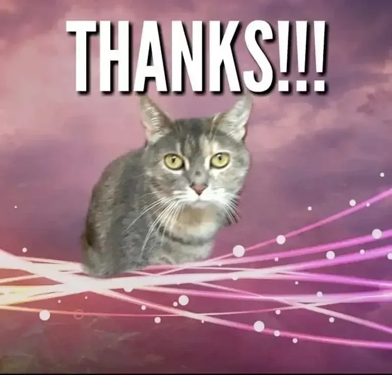 Meme thank you là gì?