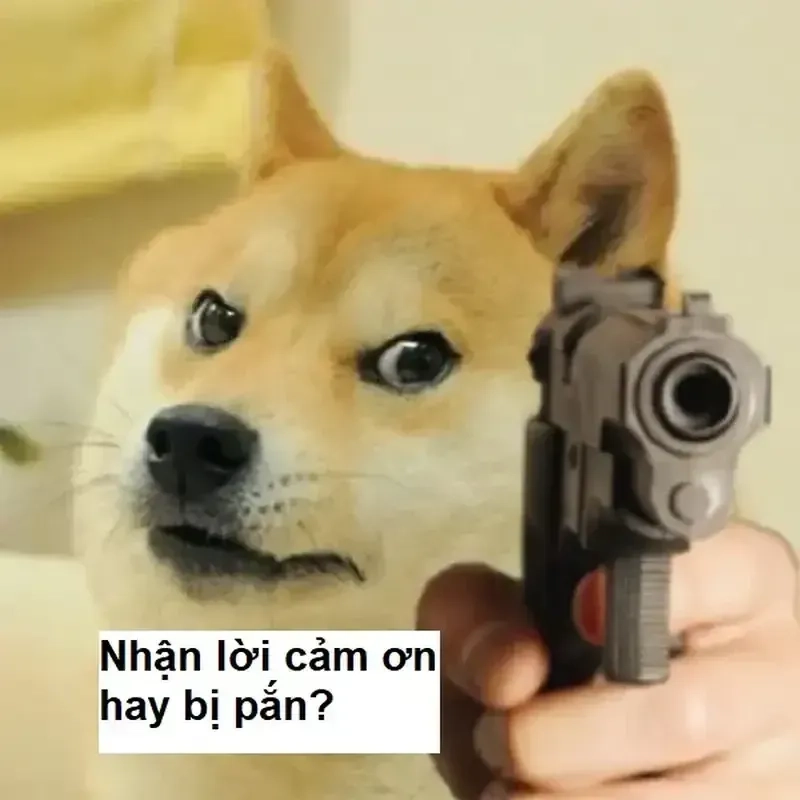 Chia sẻ cảm xúc với thank you for the happiest year of my life meme