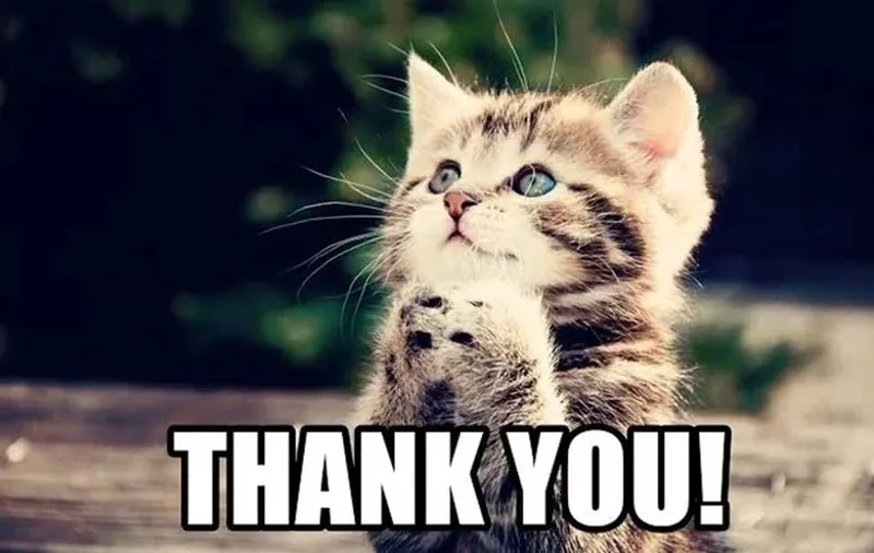 Thư viện thank you meme gif động cực vui
