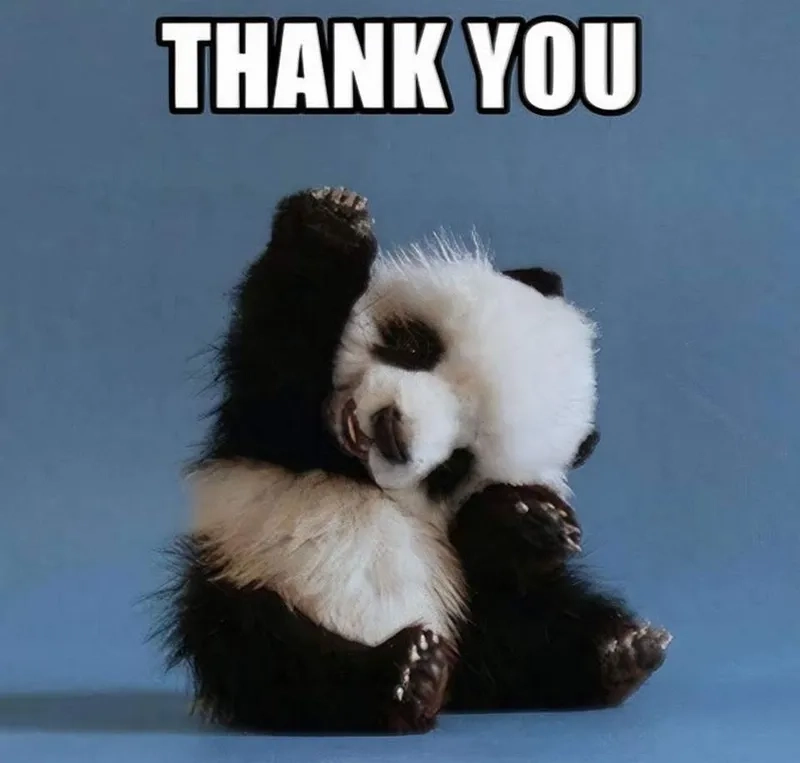 Chọn ngay thank you meme funny để troll bạn bè