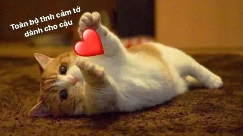 Mang nụ cười đến mỗi ngày qua meme tình yêu hài cực bựa
