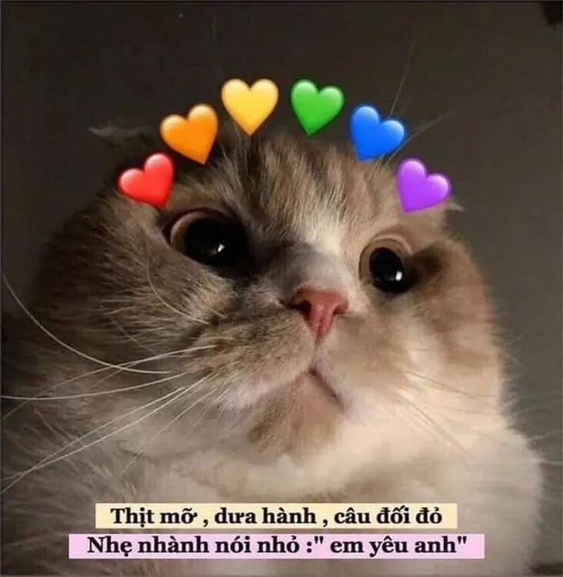 Bật cười khi xem meme tỏ tình crush siêu hài hước