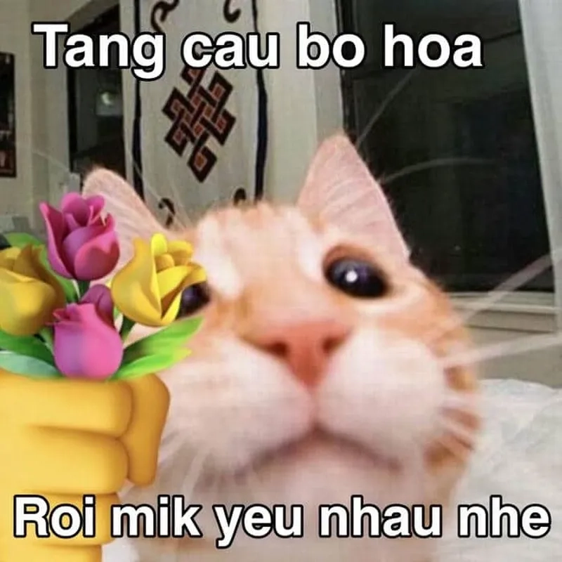Đậm chất ngôn tình với meme tỏ tình crush độc quyền