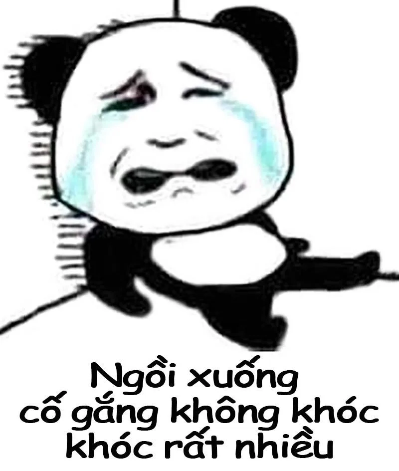 Bật cười với meme gấu trúc bựa trung quốc siêu lầy lội