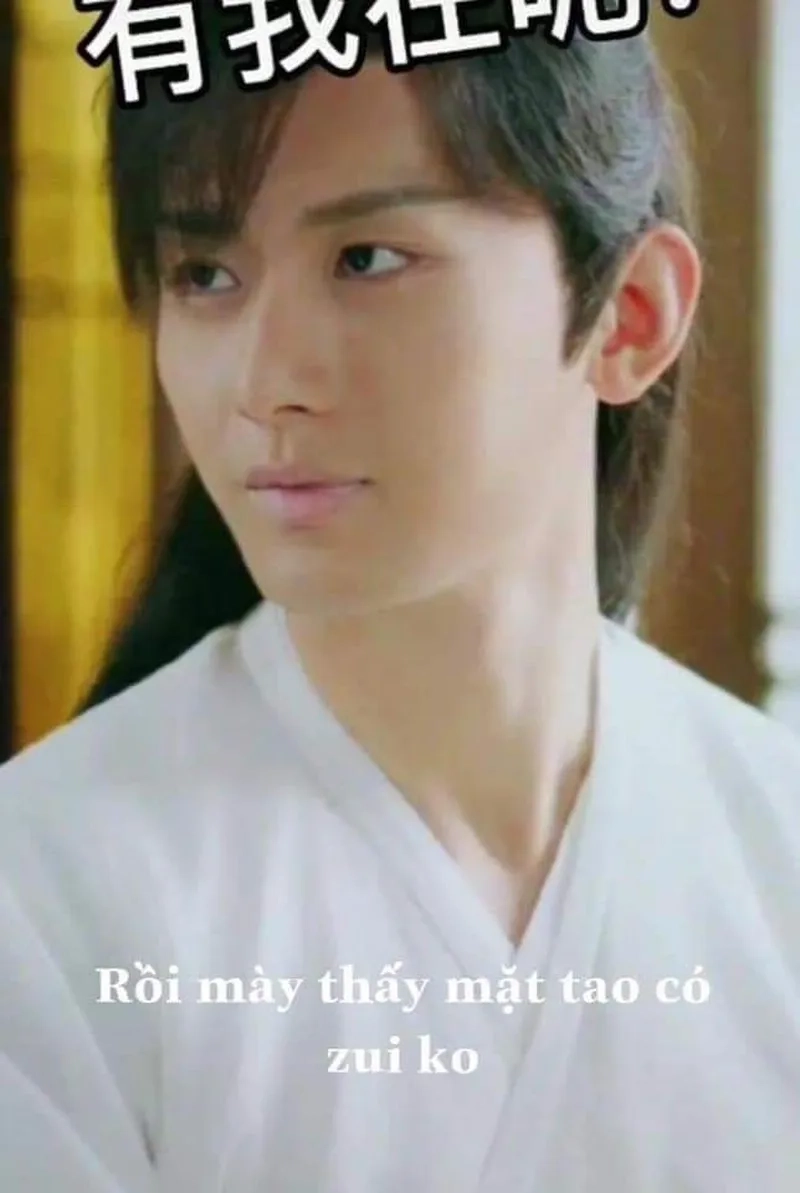 Khám phá meme gấu trúc bựa trung quốc cực hot